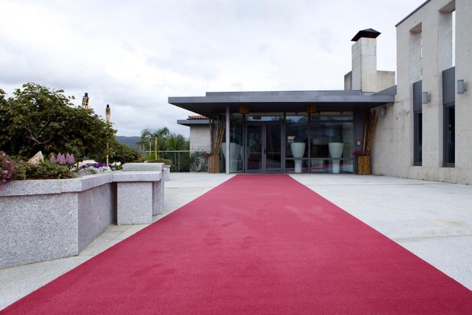 Imagen general del Hotel Peregrina. Foto 12