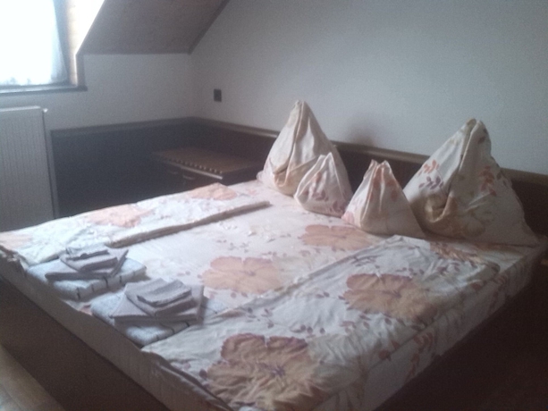 Imagen de la habitación del Hotel Peregrino Panzi&oacute;. Foto 13