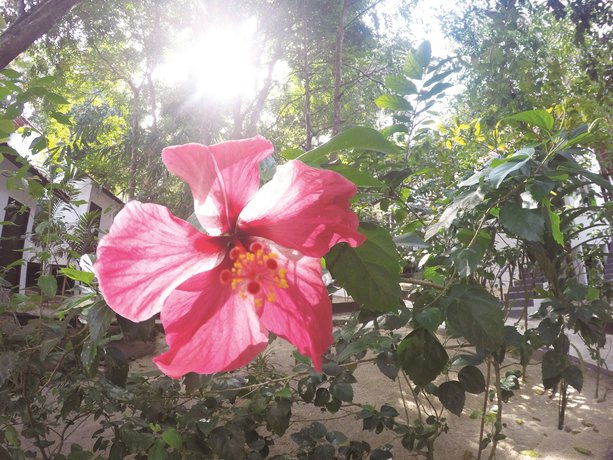 Imagen de la habitación del Hotel Perhentian Tivoli Inn. Foto 3