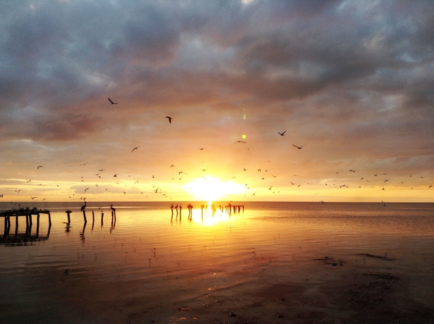 Imagen de los exteriores del Hotel Perla Del Mar. Foto 15