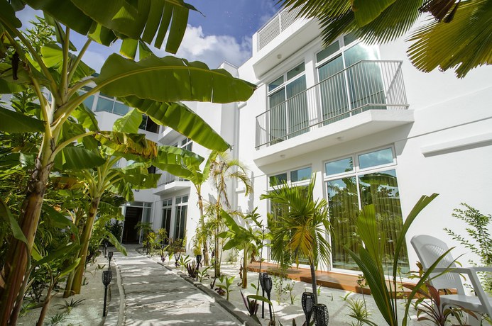 Imagen de los interiores del Hotel Perla Dhangethi. Foto 18