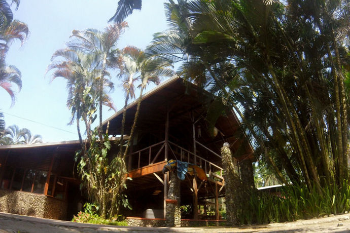 Imagen de los exteriores del Hotel Perla Negra Beach Front Rustic Accomodation. Foto 9