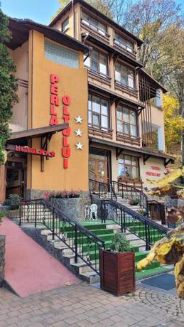 Imagen general del Hotel Perla Oltului. Foto 18