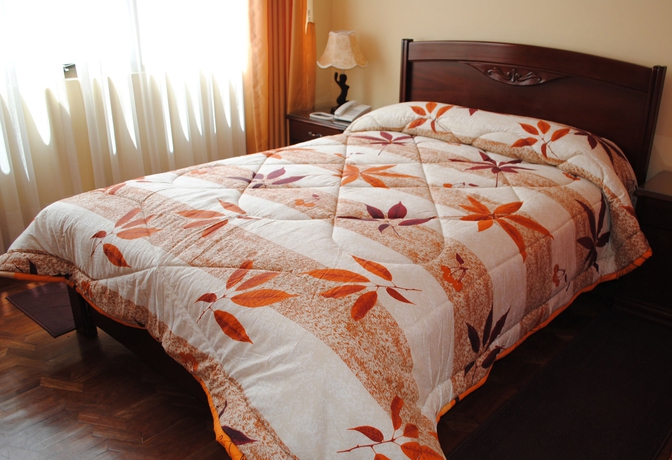 Imagen de la habitación del Hotel Perla del Lago. Foto 7