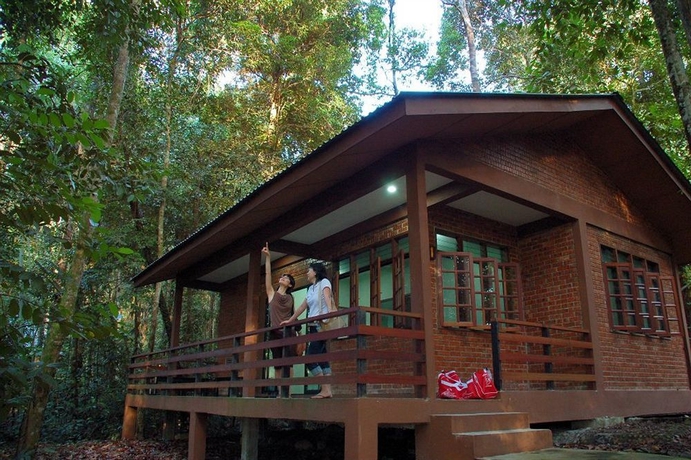 Imagen de la habitación del Hotel Permai Rainforest Resort. Foto 1