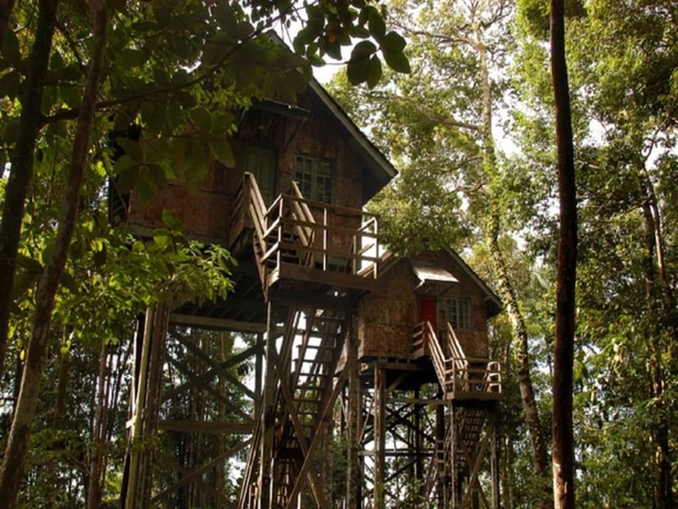 Imagen general del Hotel Permai Rainforest Resort. Foto 1