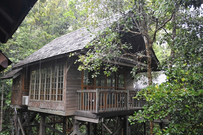 Imagen de la habitación del Hotel Permai Rainforest Resort. Foto 4