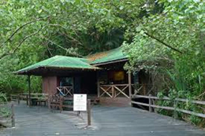 Imagen de los interiores del Hotel Permai Rainforest Resort. Foto 16