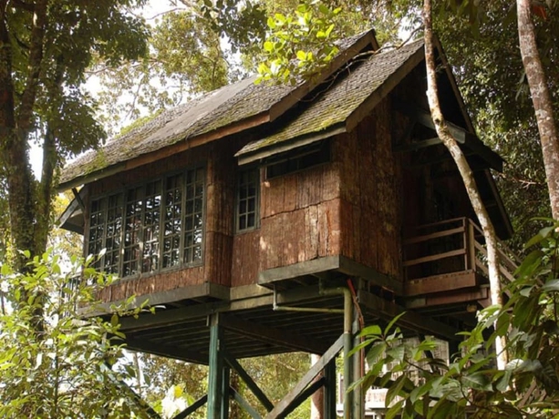 Imagen de la habitación del Hotel Permai Rainforest Resort. Foto 6