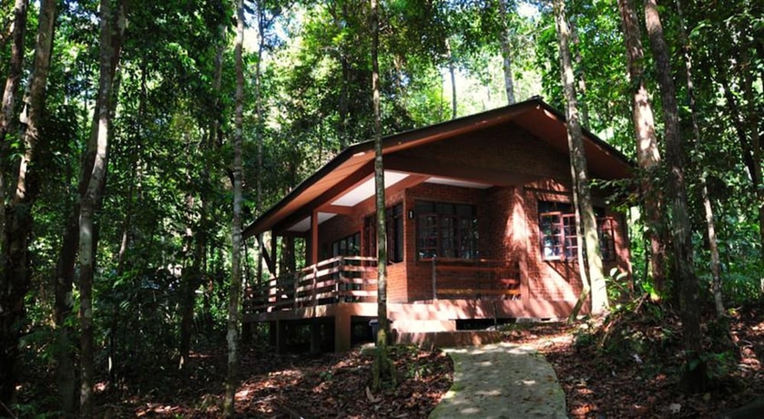 Imagen de la habitación del Hotel Permai Rainforest Resort. Foto 12