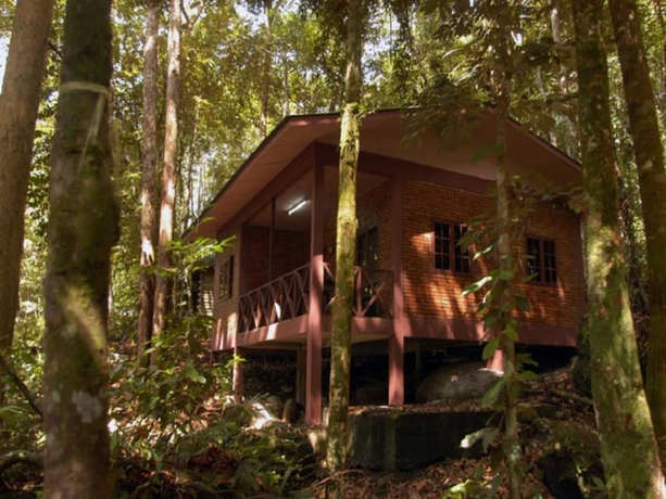Imagen de la habitación del Hotel Permai Rainforest Resort. Foto 13