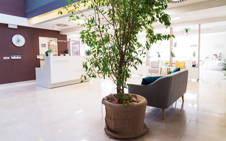 Imagen de los interiores del Hotel Perseus Budva. Foto 13