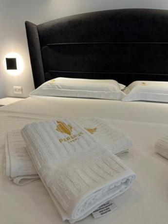 Imagen general del Hotel Perseus. Foto 12