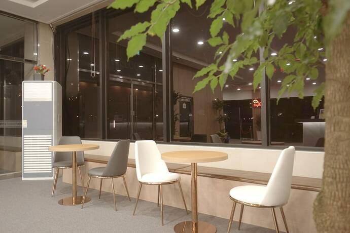 Imagen general del Hotel Persimmon Tourist. Foto 10