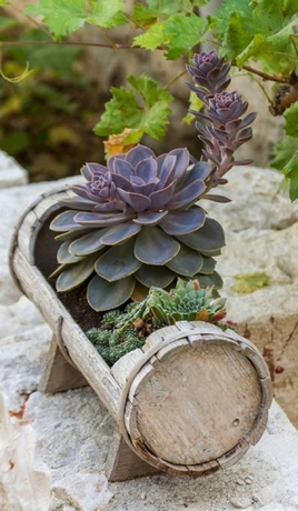 Imagen de los exteriores del Hotel Peruzovic Rooms 2. Foto 13