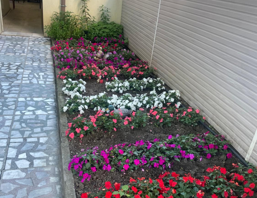 Imagen general del Hotel Peshev Family Nesebar. Foto 7