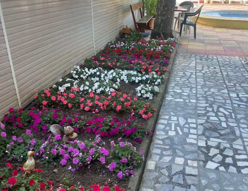 Imagen general del Hotel Peshev Family Nesebar. Foto 9