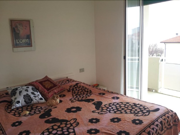 Imagen de la habitación del Hotel Pet Family Camping Cortina. Foto 5