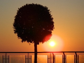 Imagen general del Hotel Petani Bay. Foto 2