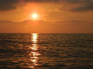 Imagen general del Hotel Petani Bay. Foto 3