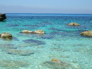 Imagen general del Hotel Petani Bay. Foto 38