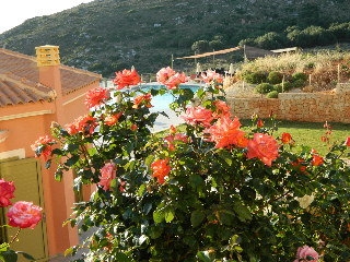 Imagen general del Hotel Petani Bay. Foto 40