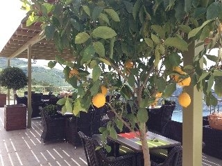 Imagen general del Hotel Petani Bay. Foto 43