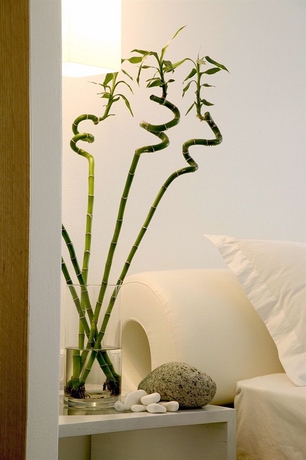 Imagen de la habitación del Hotel Petasos Beach Resort and Spa. Foto 8