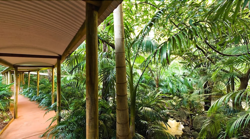 Imagen de los exteriores del Hotel Pethers Rainforest Retreat. Foto 12