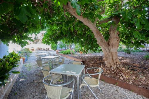 Imagen de los exteriores del Hotel Petit Garden by Flacalco. Foto 11