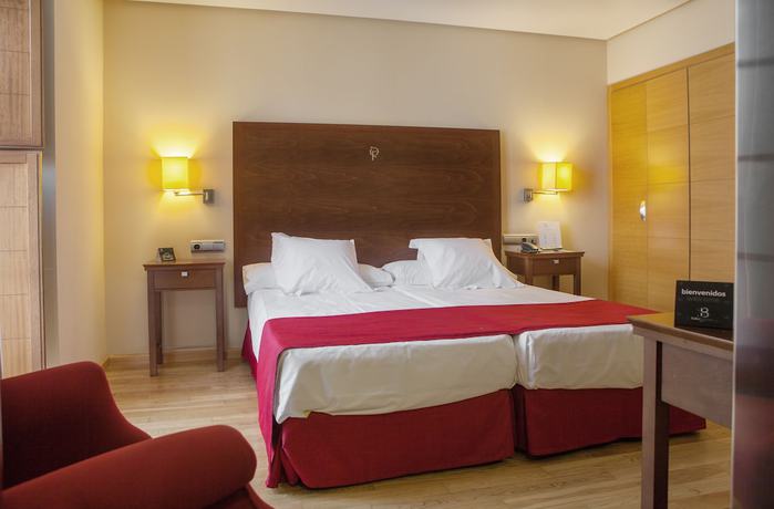 Imagen de la habitación del Hotel Petit Palace La Casa de Don Fernando. Foto 4