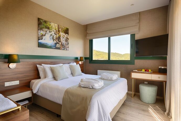 Imagen de la habitación del Hotel Petit Palais Platres Boutique. Foto 14