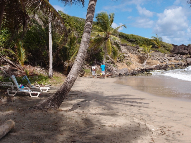 Imagen de los exteriores del Hotel Petite Anse. Foto 12