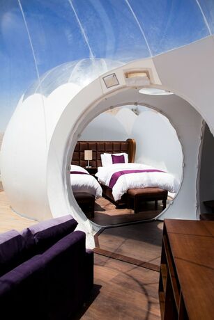 Imagen de la habitación del Hotel Petra Bubble Luxotel. Foto 18
