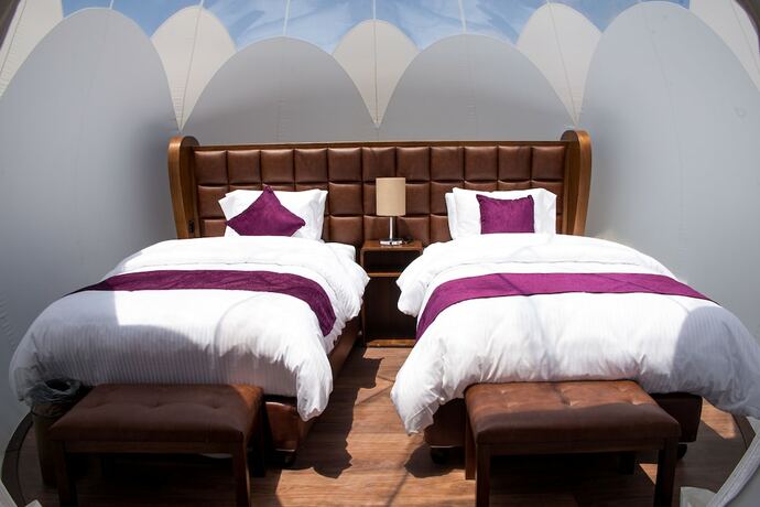 Imagen de la habitación del Hotel Petra Bubble Luxotel. Foto 19