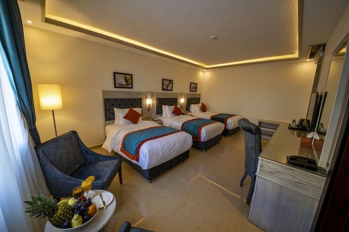 Imagen de la habitación del Hotel Petra Canyon. Foto 11