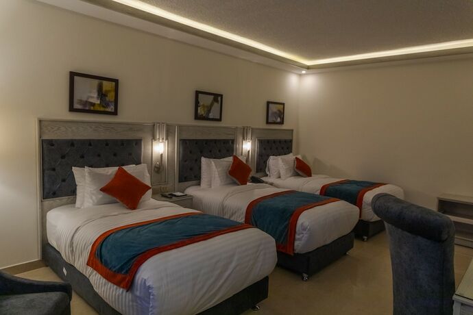 Imagen de la habitación del Hotel Petra Canyon. Foto 17