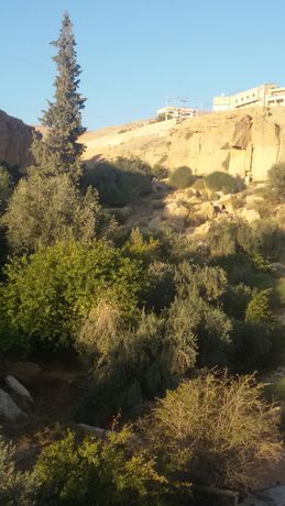 Imagen de la habitación del Hotel Petra Corner. Foto 5