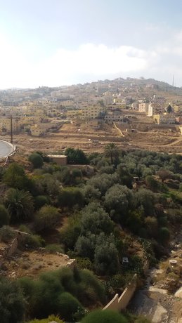 Imagen de la habitación del Hotel Petra Corner. Foto 11