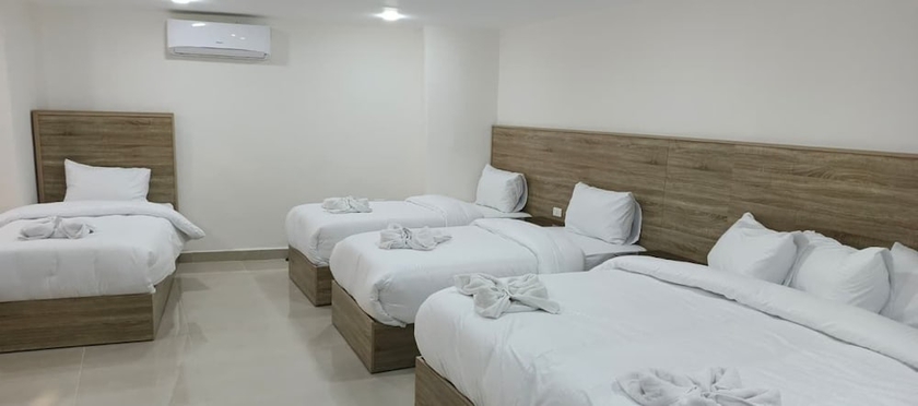 Imagen de la habitación del Hotel Petra Desert. Foto 8