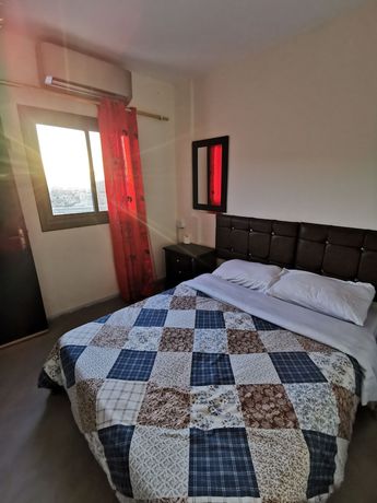 Imagen de la habitación del Hotel Petra Gate. Foto 12