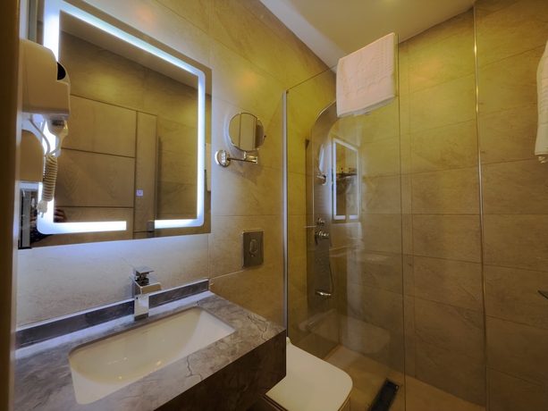 Imagen de la habitación del Hotel Petra Karam. Foto 15