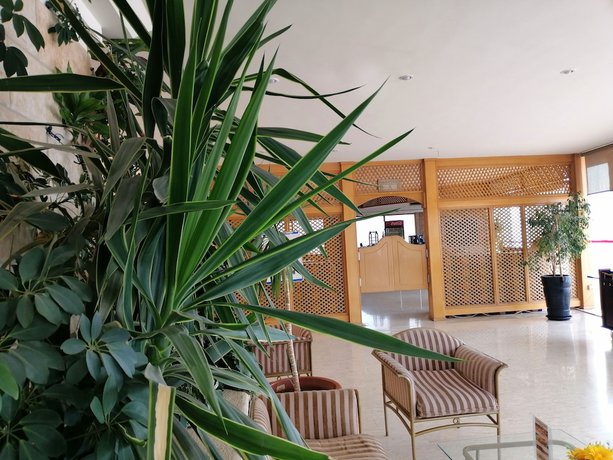 Imagen de los interiores del Hotel Petra Panorama. Foto 18