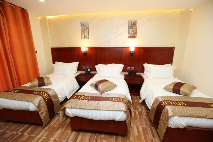 Imagen de la habitación del Hotel Petra Venus. Foto 5