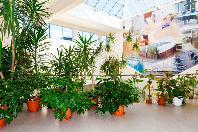 Imagen de los interiores del Hotel Petro Sport. Foto 10