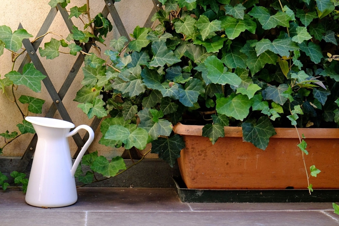 Imagen de la habitación del Hotel Petronilla - In Bergamo. Foto 3