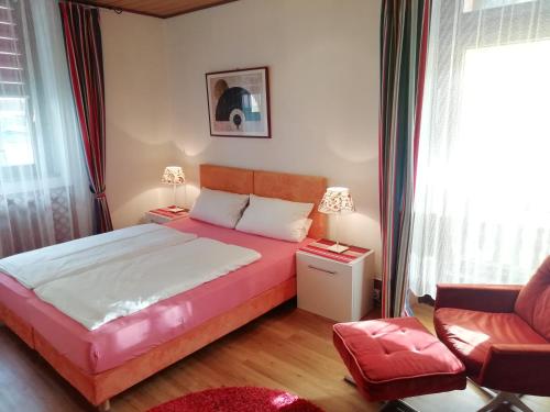 Imagen general del Hotel Pfaff. Foto 3