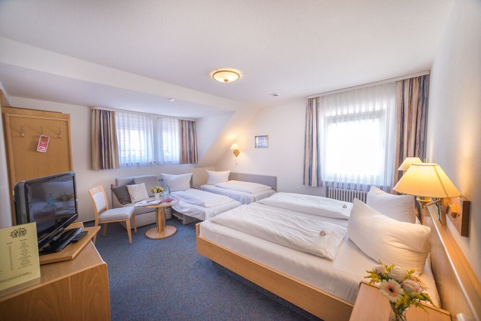 Imagen de la habitación del Hotel Pfauen. Foto 6
