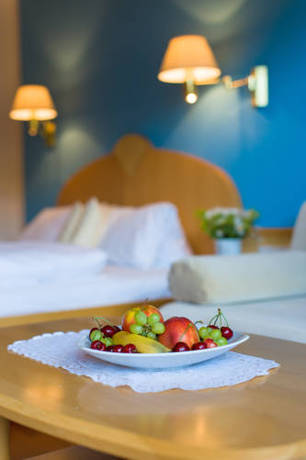 Imagen de la habitación del Hotel Pfeffermühle. Foto 15