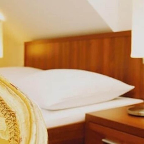 Imagen de la habitación del Hotel Pfeiler\'s B&uuml;rgerst&uuml;berl. Foto 18